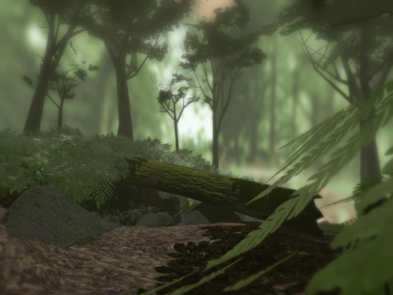 収穫の喜びと自然の恵み